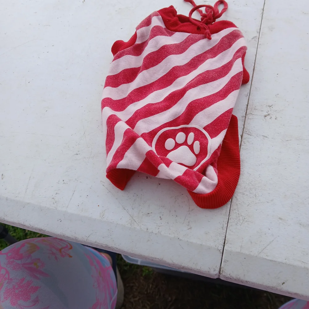 Pink and Red Heart Dog Dress